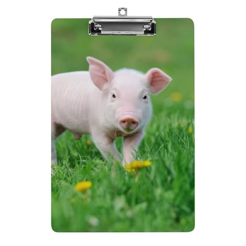 Porte document avec clip à profil bas stable et rigide format A4