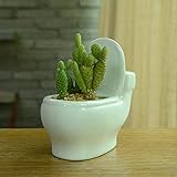 tampa do vaso sanitario em ingles Alta qualidade: Feito de resina premium resistente às intempéries e seu pigmento não desbota mesmo em contato com água e geada, esta decoração de jardim de fadas é à prova de intempéries, não tóxica e livre de odores.