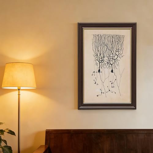 Dessin de neurones de Ramon Y Cajal impression sur toile de style vintage 20x30 cm