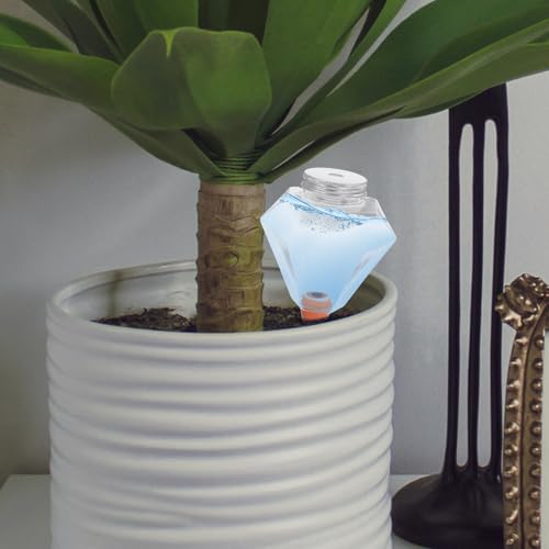 FUTUREORYY 500MLeʎUXpCN _Ch^Ap_H K[fVXe Ztψꋋu