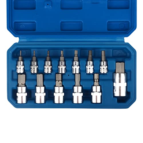 DAYUAN Hex Bit Socket Set Premium S2 Alloy Steel, 13-Piece Metric 2-14mm Allen Socket Kit