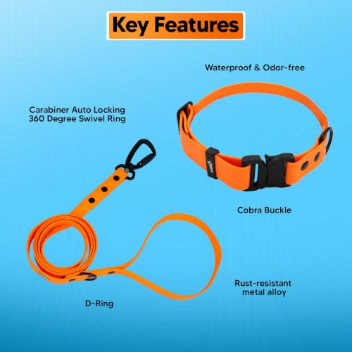 Image of Adil's Biothane Waterproof Dog Collar, Dog Leash & Collar Leash Combo | Heavy Duty TPU Coated Webbing | Adjustable Quick Release Buckle | Odour Resistant (Orange, L-22, Collar & Leash Combo)
