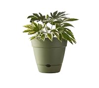 Northcote Pottery Leonard Self-Watering Pot, 20 x 18 cm Size, Green