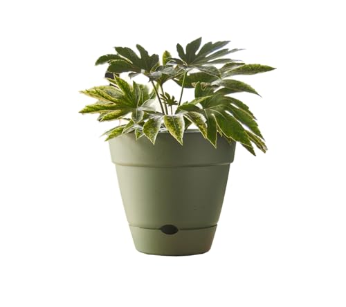 Northcote Pottery Leonard Self-Watering Pot, 20 x 18 cm Size, Green