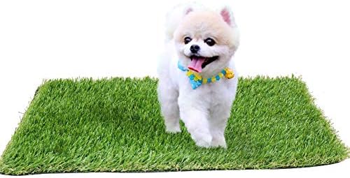 kaizein Artificial Grass for Dogs to Pee Pads,4-Tone 16 x 24inch Blade Height 1.38" Fake Grass Carpet,Outdoor Rugs for Dogs, Dog Grass Mat