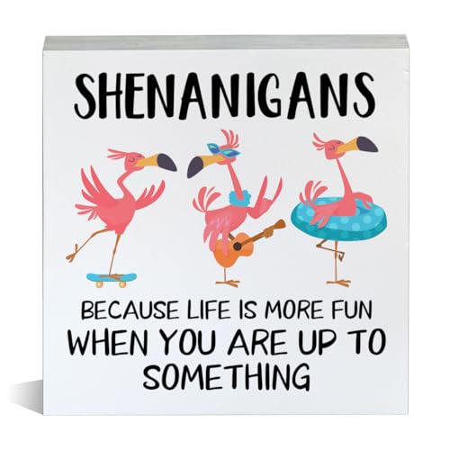 Funny Flamingo Gift Flamingo Lovers Sign Shenanigans Because Life Is More Fun Wooden Box Sign for Home Shelf Tabletop Decor 5 X 5 Inches