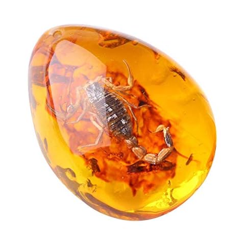 Queenbox Resin Amber Insect Pendant Scorpion Fossil Samples Stones Crystal Home Decorations and Jewelry Making Cover