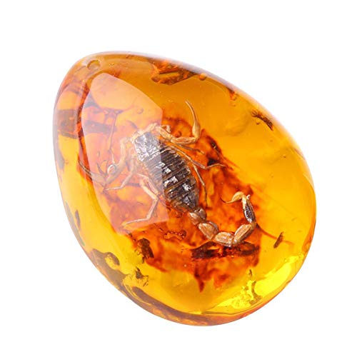 Queenbox Resin Amber Insect Pendant Scorpion Fossil Samples Stones Crystal Home Decorations and Jewelry Making