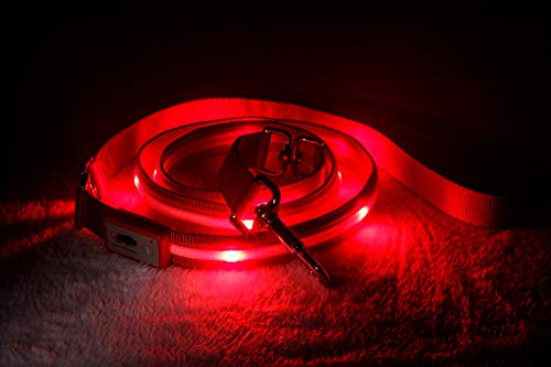 Blazin' Safety LED Dog Leash