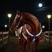 byepica Adjustable Horse Tack, Led Light Breastplate, Waterproof Nylon, USB Rechargeable, for Parades, Shows, and Night Riding, Blue, Adjustable Sizes