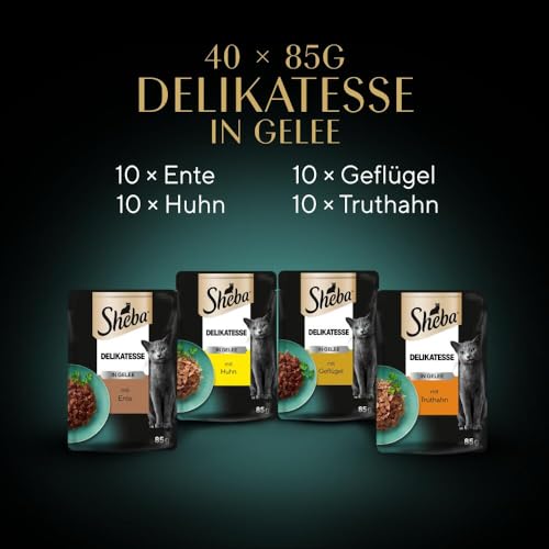 Sheba Delikatesse in Gelee, Katzen Nassfutter mit feiner Geflügelauswahl, 40 x 85g