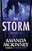 The Storm: A Berry Springs Novel