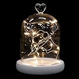 Cloche de présentation en verre : idéale pour exposer des micro-paysages de fleurs artificielles, des fleurs séchées, de petits objets décoratifs et bien plus . cloche avec base