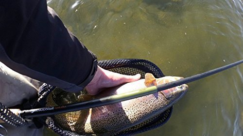 DRAGONtail Hellbender Zoom Big Fish Tenkara Fly Fishing Rod - Image 4