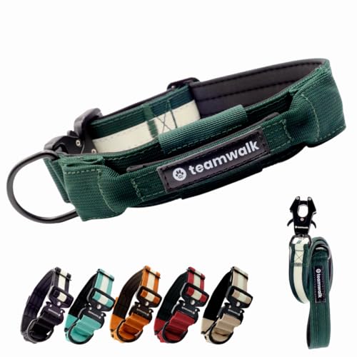 teamwalk® Premium Hundehalsband - mit Magnetgriff, Leuchtstreifen, Air-Tag Tasche, individuell einstellbar, weiche Polsterung, robuste Schnalle, mit passender Leine erhältlich, JETZT NOCH Leichter(M)