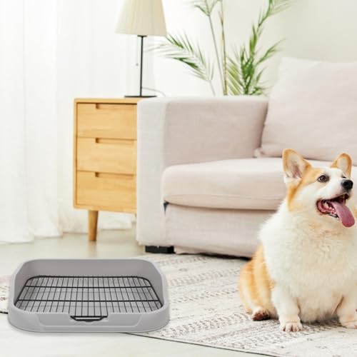 Toddmomy Bandeja Interna Para Penico Para Cães Vaso Sanitário Pequeno Para Cachorrinhos Com Colher D