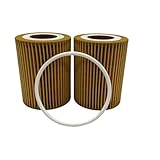 Oil Filter Compatiblefor For Besturn For B30 & For Senya For R7 1012015-26L HU7003x(1012015-26L)