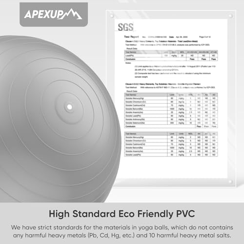 Image of APEXUP Yoga Ball, 660 lbs Anti-Burst Exercise Ball with Pump, 5 Sizes