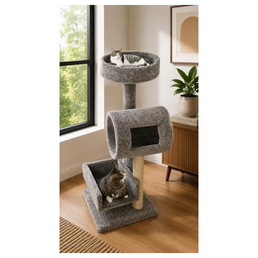 Sturdy New Cat Condos Climber