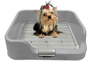Innovative DogCharge Pet Potty Tray