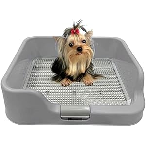 [DogCharge] Indoor Dog Potty Tray – with Protection Wall Every Side for No Leak, Spill, Accident – Keep Paws Dry and Floors Clean (Tray Only, Grey)