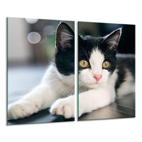Preisvergleich Produktbild Herdabdeckplatten Ceranfeldabdeckung Spritzschutz Glas 2x30x52 Katze