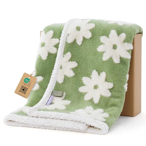 LE SURE Waterproof Puppy Blanket for Small Dogs - Washable Double Sided Dog Blankets with Warm Jacquard Shag and Soft Sherpa Fleece, Pet Cat Blanket for Couch Protection, 3D Textured Cloud, Green