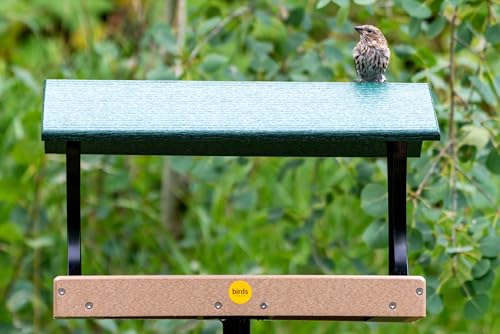 Birds Choice 18X12 Fly-Through Platform3