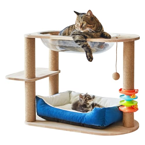 2iLbg^[A21.8C` L p[` ؐ LRh~jA nbNƃTCU[vXNb`[|Xg݂艺{[ ^L qLp(u[)