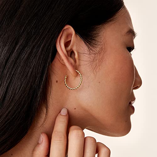 PAVOI 14K Gold Plated 2.5mm Twisted Rope Hoop Earrings for Women | Round Hoops Earrings2