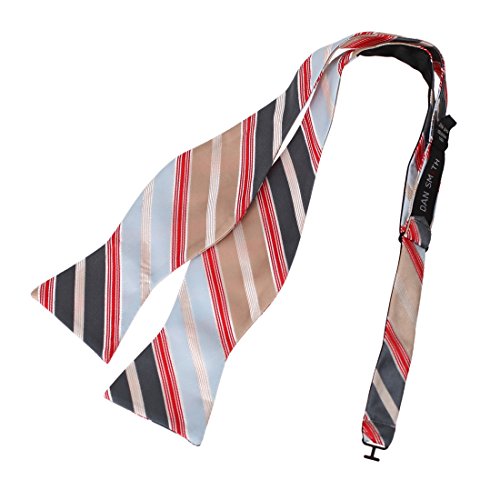 Dan Smith DBA7A27G Blue Red Tan Grey Stripes Bow Tie Microfiber Elegant Design Self-tied Bow Tie