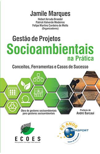 Gestão de projetos socioambientais na prática: conceitos, ferramentas e casos de sucesso
