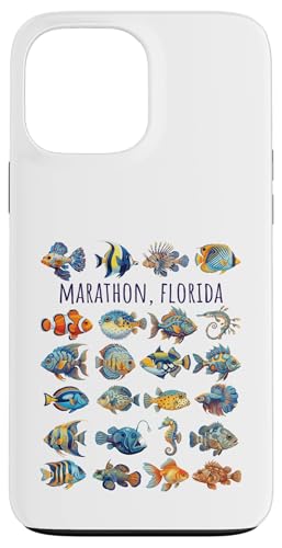 �}���\�� �t�����_ �J���t���ȋ��̃f�U�C���B �X�}�z�P�[�X iPhone 13 Pro Max �p