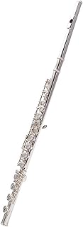 17 Open-hole Closed-hole Flute Wind Instruments White Copper E Key C Call E Key Silver-plated Beginners flute instrument (Color : 17-hole high-end package)