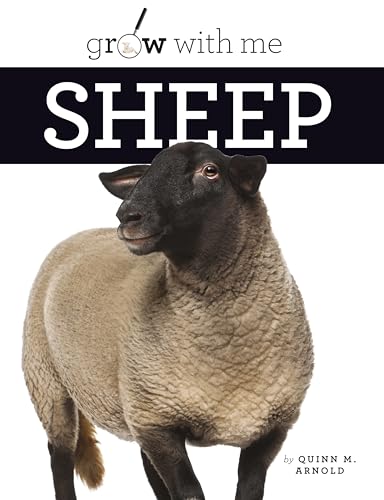 Sheep (Grow With Me)