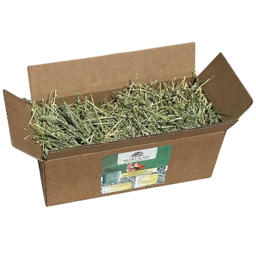 Halby's Hay Premium Alfalfa Flake Hay 2 Pound miniatura 3