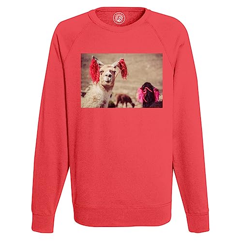 Sweatshirt Homme avec Photo de Lama du Pérou et Rubans Traditionnels