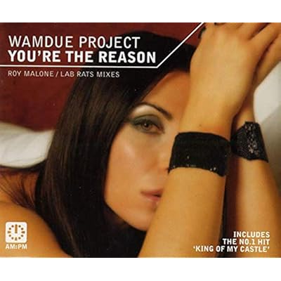 You're The Reason