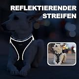 haapaw Hundegeschirr und Leine Set, kein Ziehen, verstellbares, reflektierendes Step-in-Welpengeschirr mit dicker, gepolsterter Weste für extra kleine/kleine mittelgroße Hunde