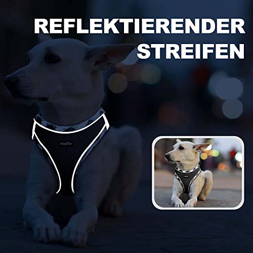 haapaw Hundegeschirr und Leine Set, kein Ziehen, verstellbares, reflektierendes Step-in-Welpengeschirr mit dicker, gepolsterter Weste für extra kleine/kleine mittelgroße Hunde