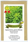 tee online bestellen versandkostenfrei 1 Portion = 1500 Samen Grüne Minze, Spearmint - Mentha spicata - 1500 Samen