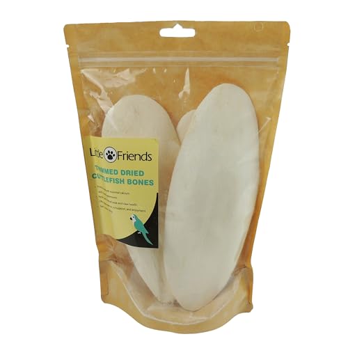 Trimmed Dried Cuttlefish Bone 3pcs (205g) - Natural Calcium Source for Birds and Reptiles, White, 205 g (Pack of 1)