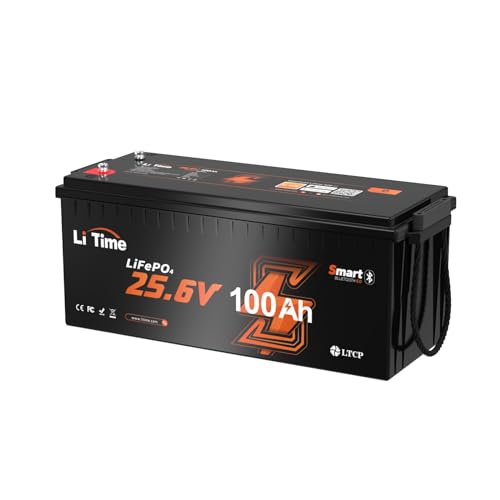 Litime 24V 100Ah Bluetooth LiFePO4 Battery, Low-Temp Protection, 25.6 Volt Lithium Battery Built-in 100A BMS, 4000+ Deep Cycles, Max. 2560Wh Energy for RV, Solar, Marine, Off-Grid