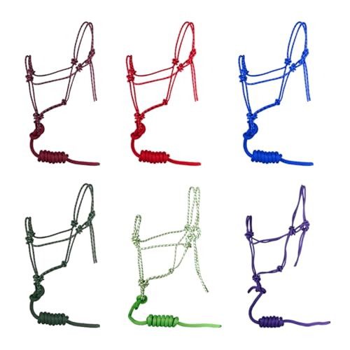 Licol de cheval violet et corde de guidage pour le paddock et l'écurie - 3