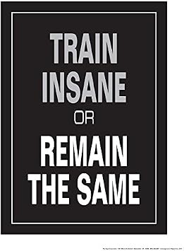 Train Insane or Remain The Same 18" X 24" Poster