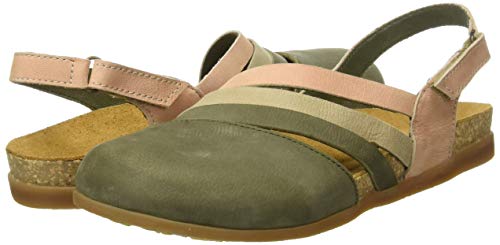 El Naturalista NF45
