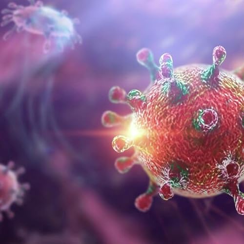 &ldquo;Es poco probable que haya una pandemia de hantavirus&rdquo;: Dr. Alejandro Mac&iacute;as