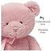 Baby GUND My First Teddy Bear, Ultra Soft Animal Plush Toy for Babies and Newborns, Pink, 10”