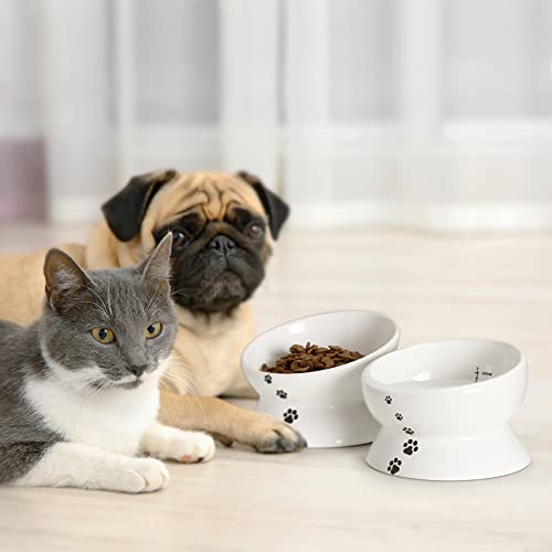 Y Yhy Cat Food Bowls, Elevated Tilted For Food And Water, 2 Raised Cat Bowls Set With Tick Marks, For Flat-Faced Cats And Small Dogs - 12/16 Oz Ceramic #TOP7