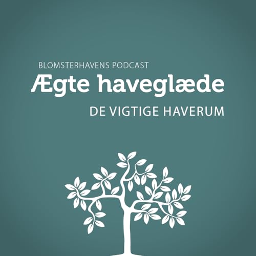 De vigtige haverum